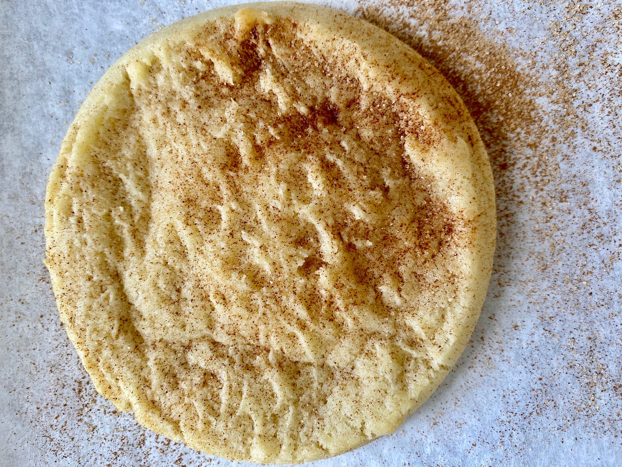 Warm Snickerdoodle Cookies Hand Delivered Warm Tank Goodness